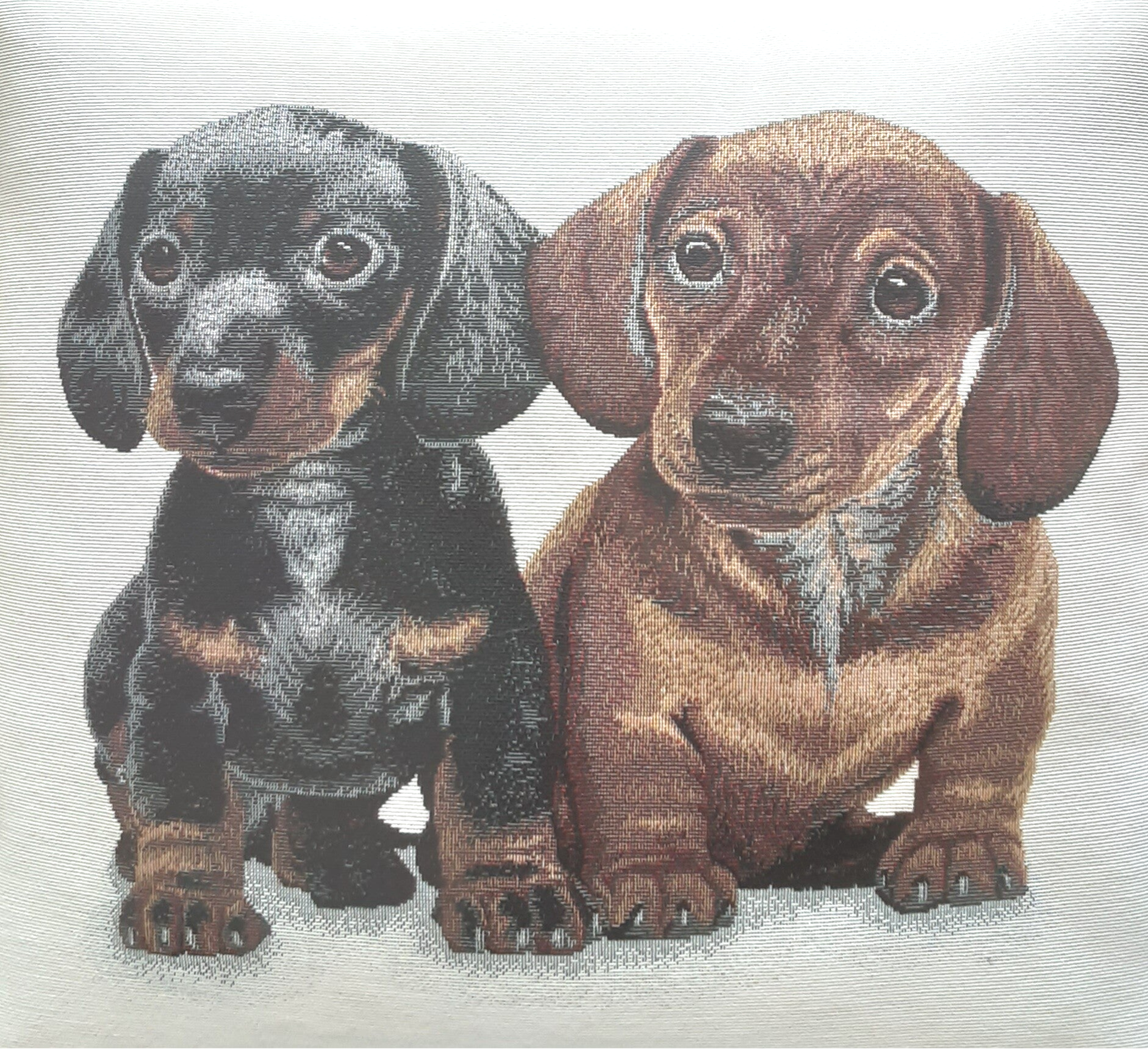 Sierkussen 2 Teckeltjes