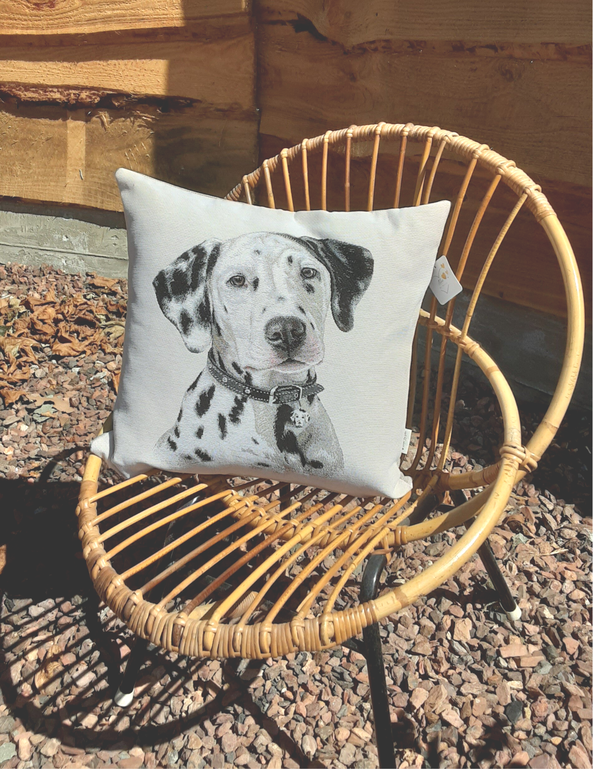 Sierkussen Dalmatiër