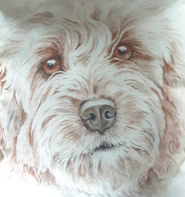 Sierkussen Labradoodle