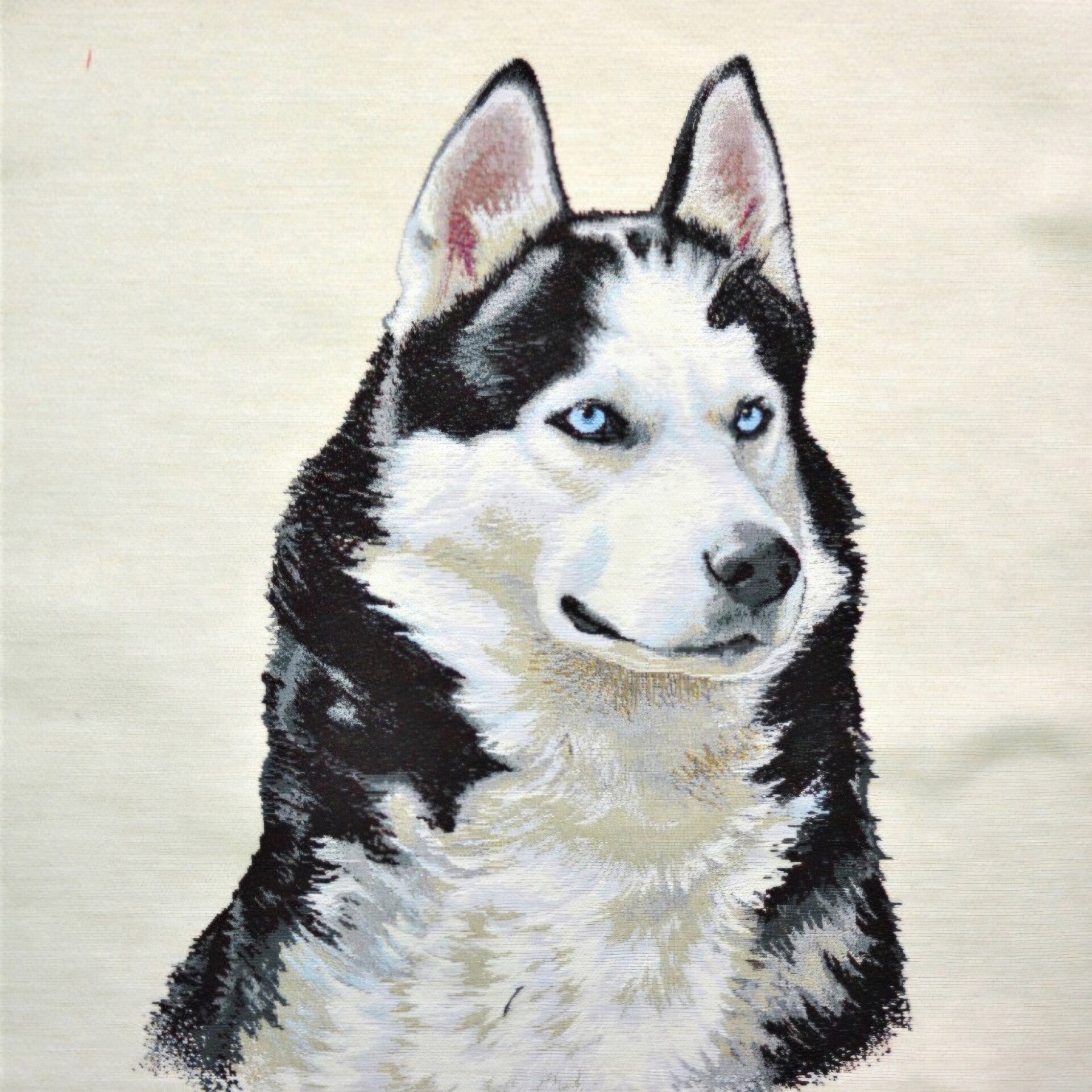 Sierkussen Husky