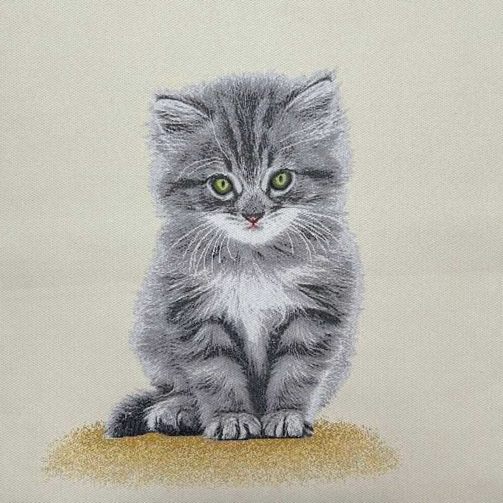 Sierkussen Kitten Grijs