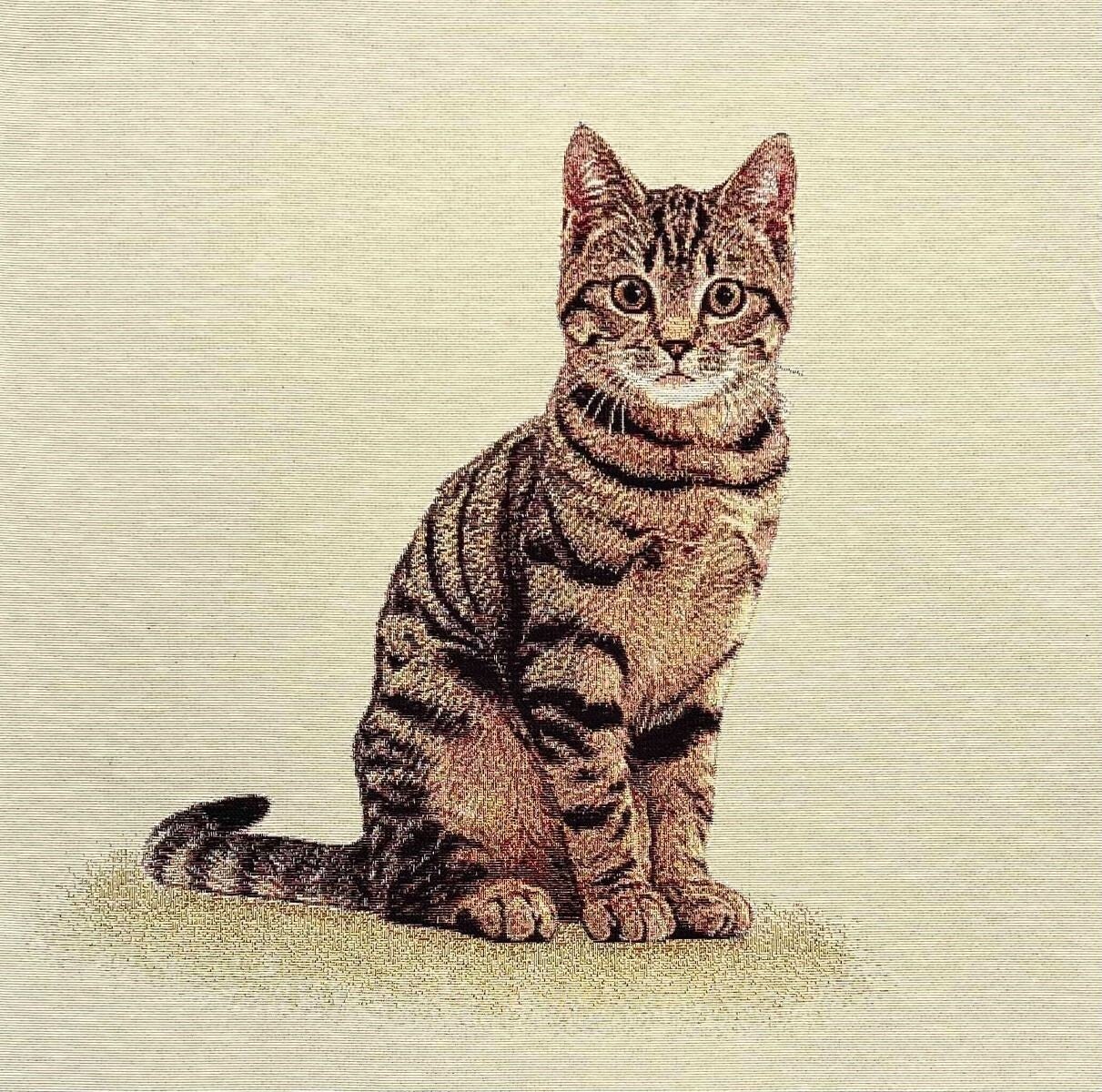 Sierkussen Cyperse Poes