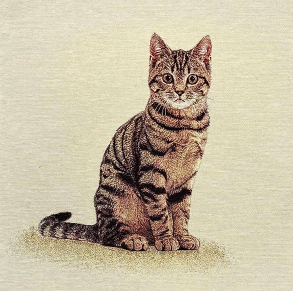 Sierkussen Cyperse Poes