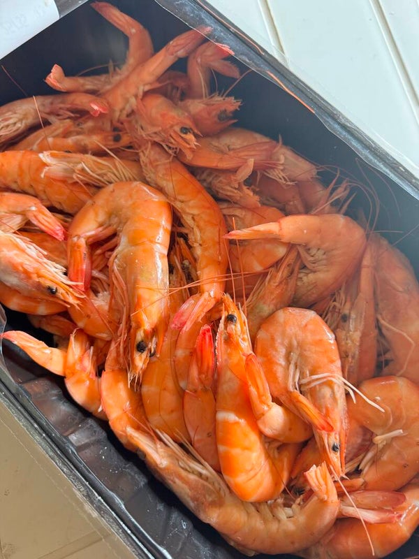 Crevettes roses 25/35