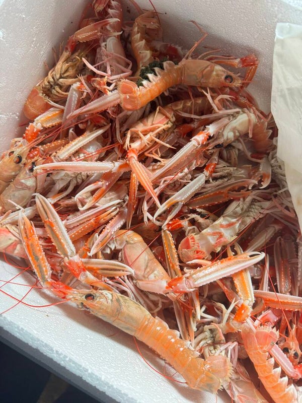 Langoustines N°2