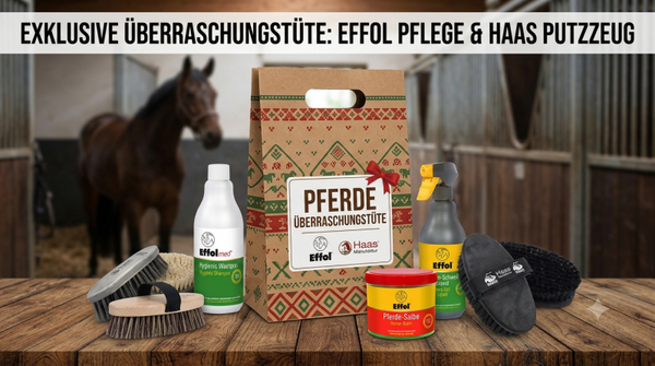 Überraschungstüte Haas/Effol/Effax