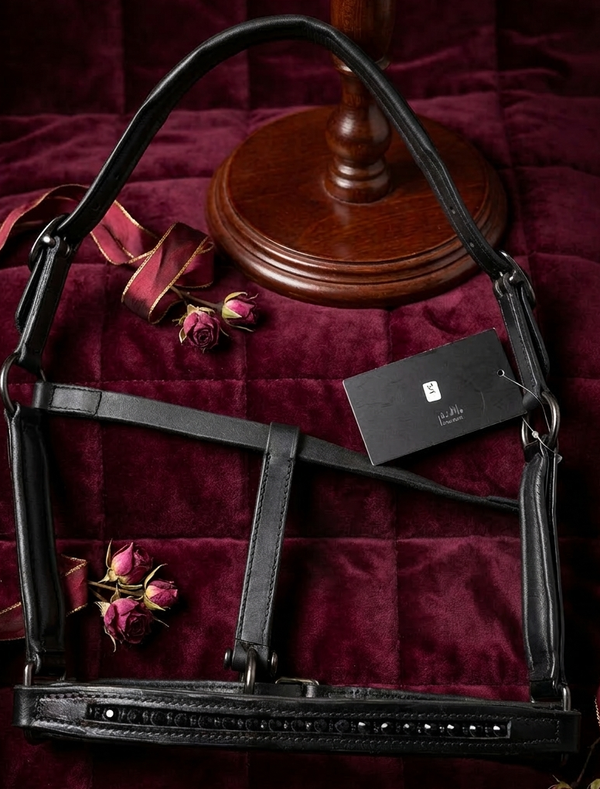 Lederhalfter Night Shadow auch für Shetty