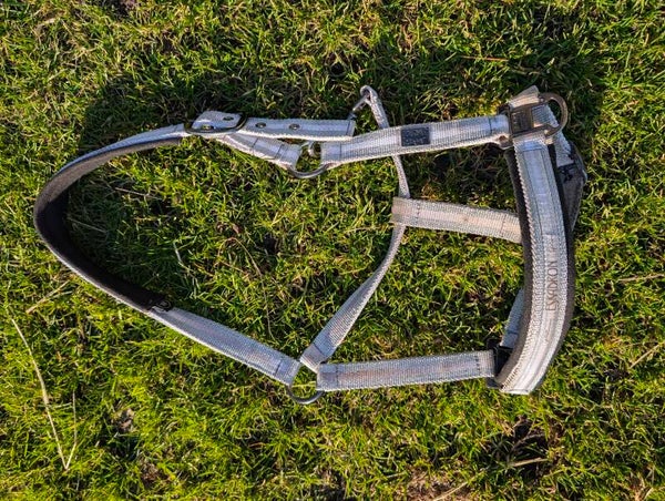 Eskadron WB Halfter gebraucht