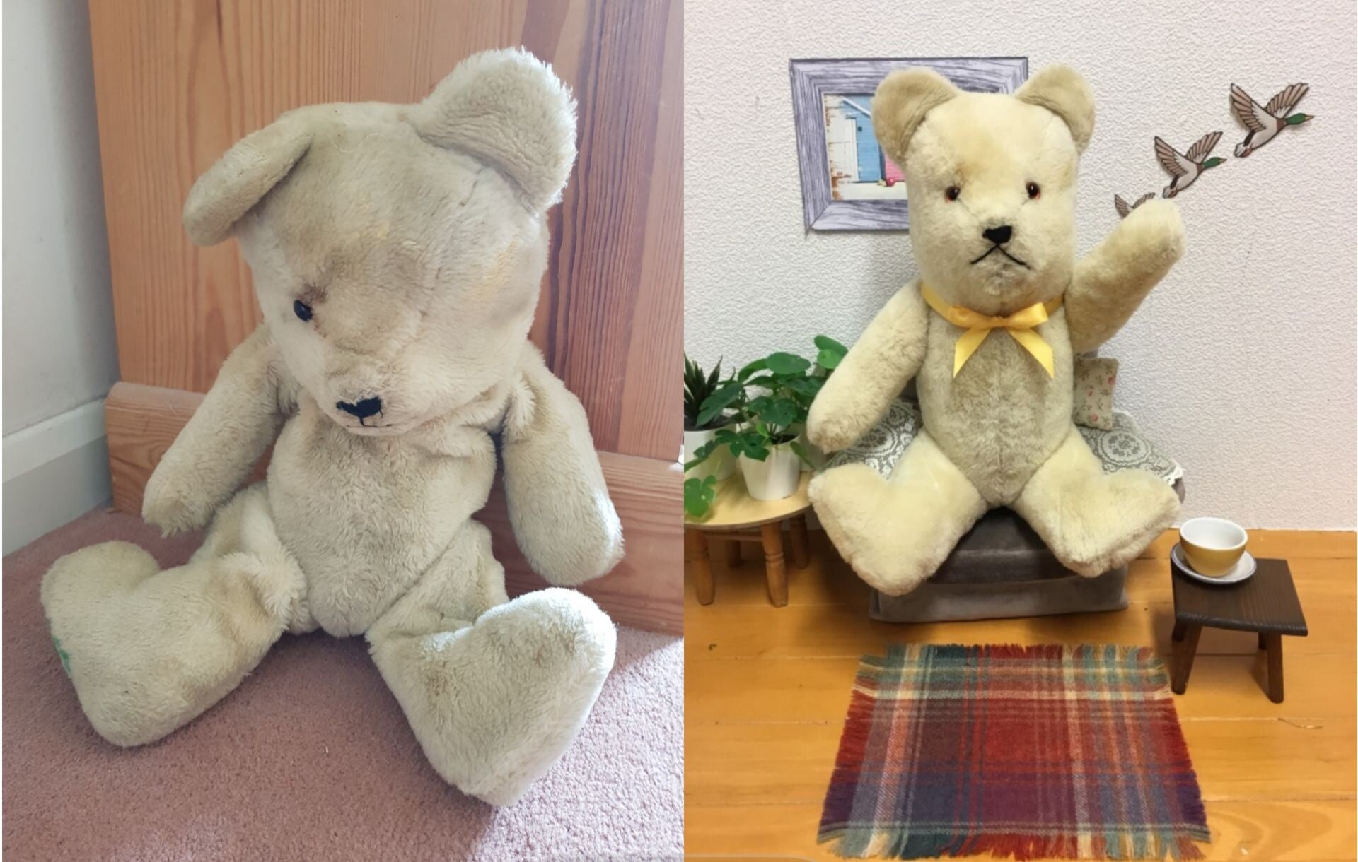 bear-3-standard.jpg