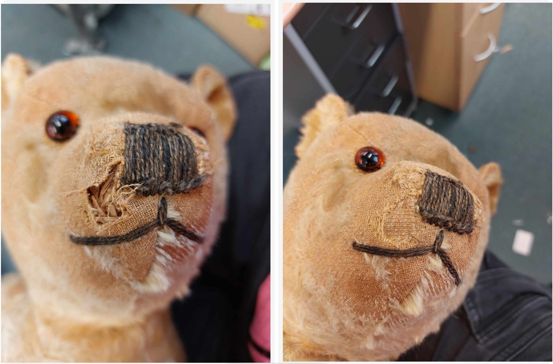bear-standard-ia57em.jpg