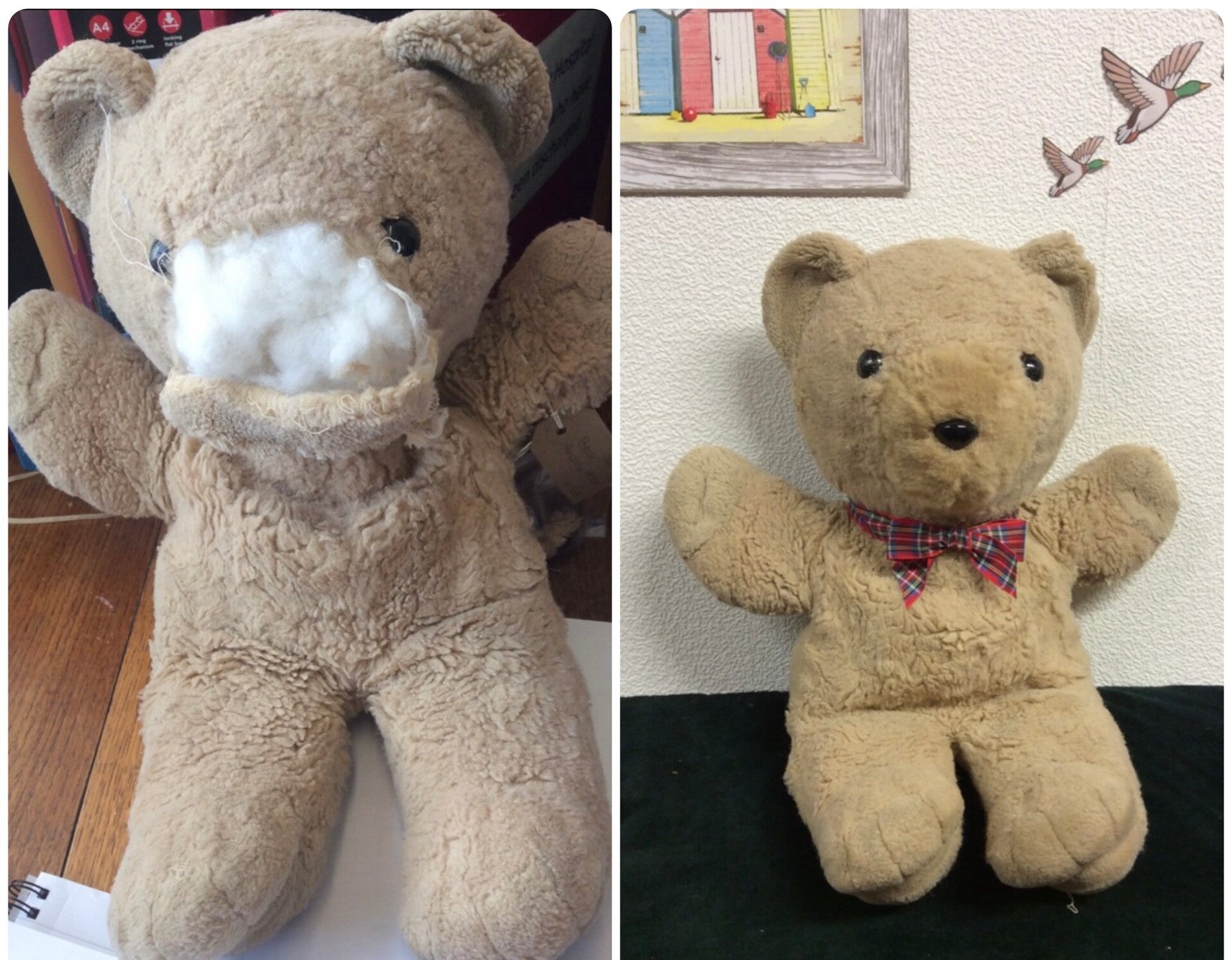 beige-teddy-standard.jpg