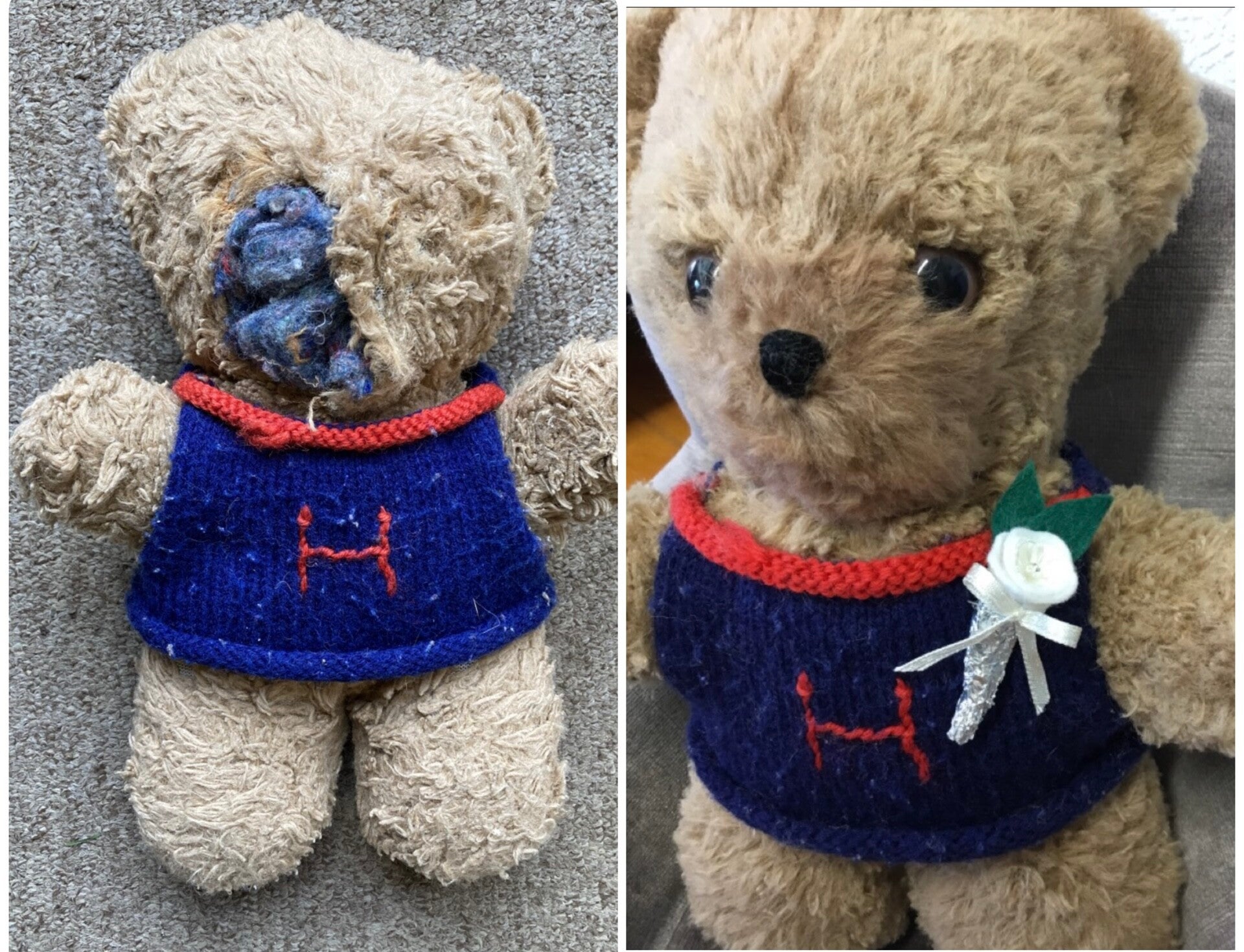 h-teddy-standard.jpg