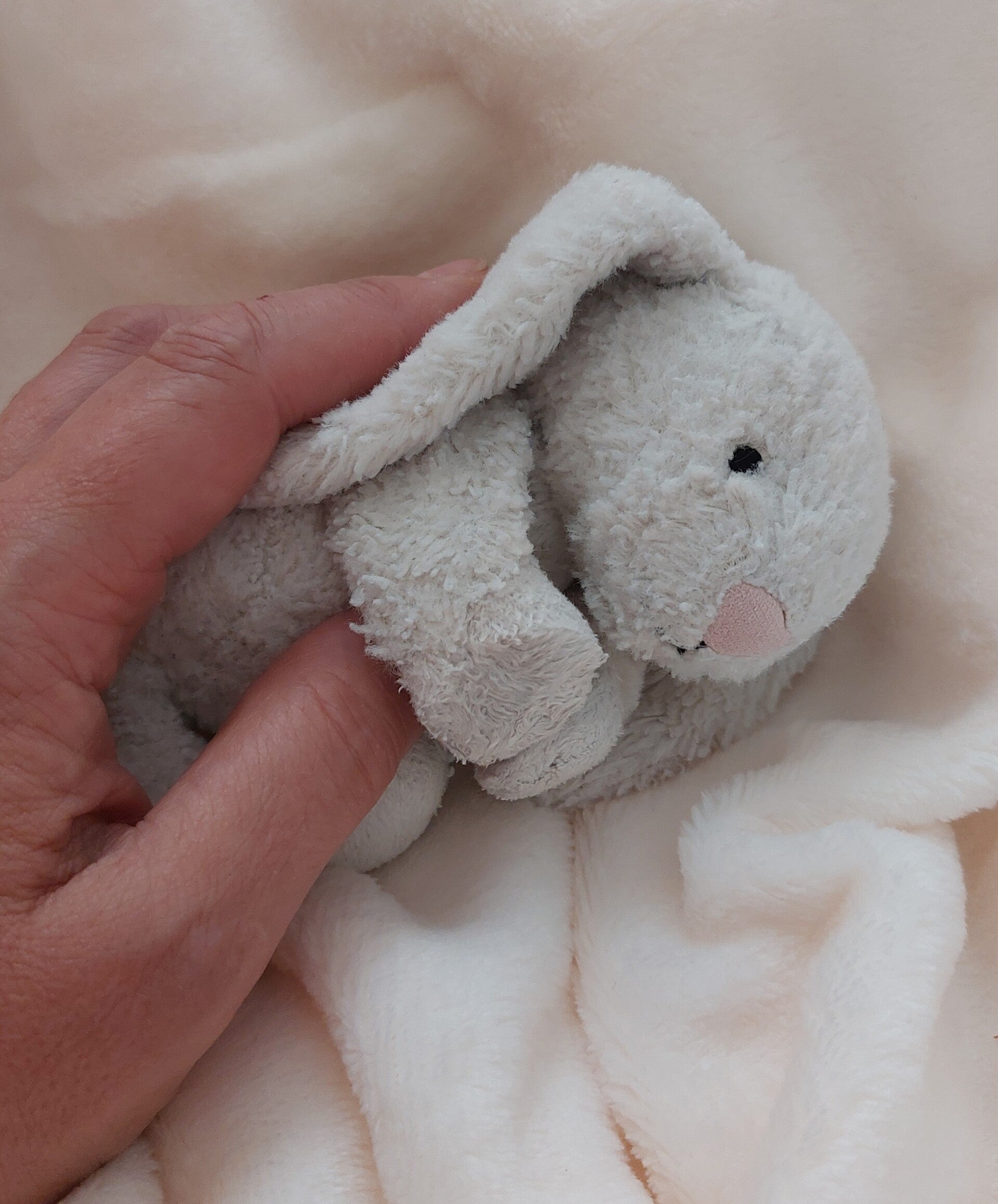 jellycat-bunny-standard.jpg