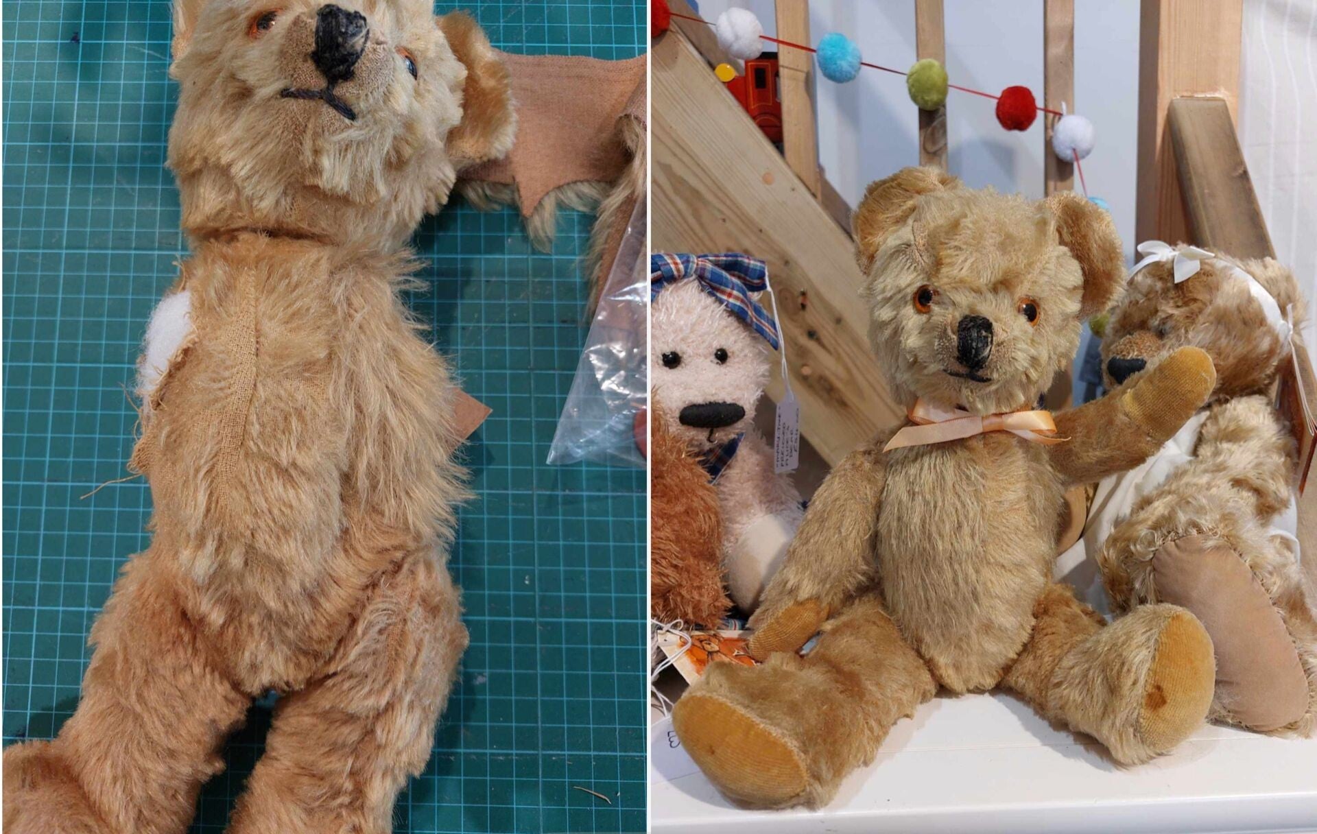 teddy-standard-8yskdi.jpg