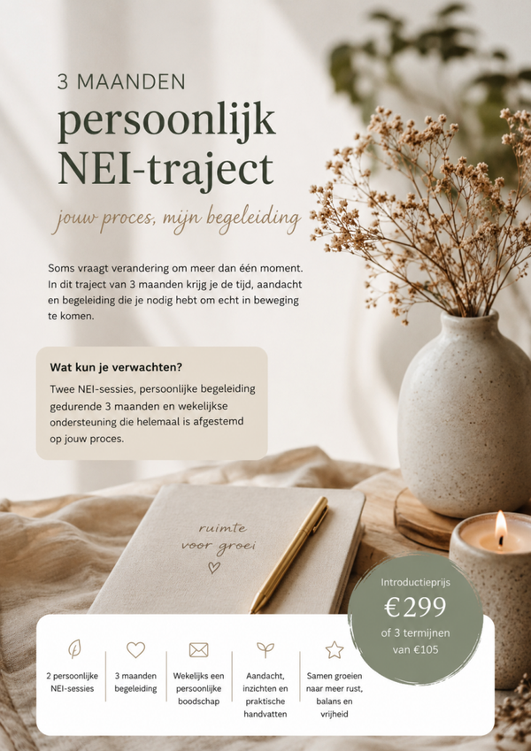 Persoonlijk Traject 12 weken