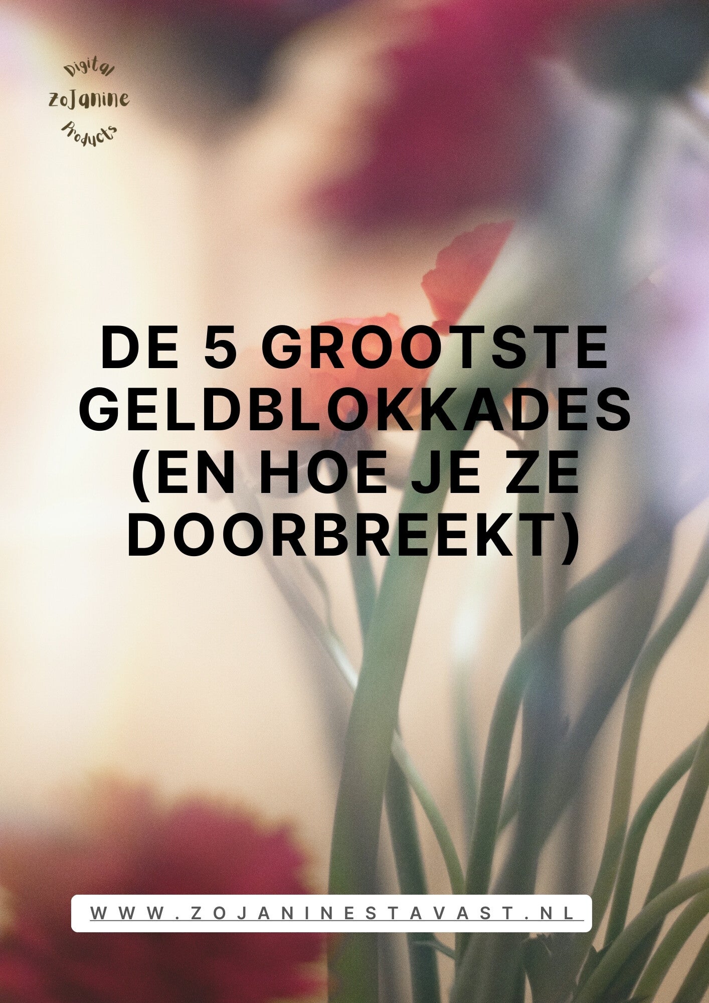 Gratis Gids Hoe Je De 5 Grootste Geldblokkades Doorbreekt