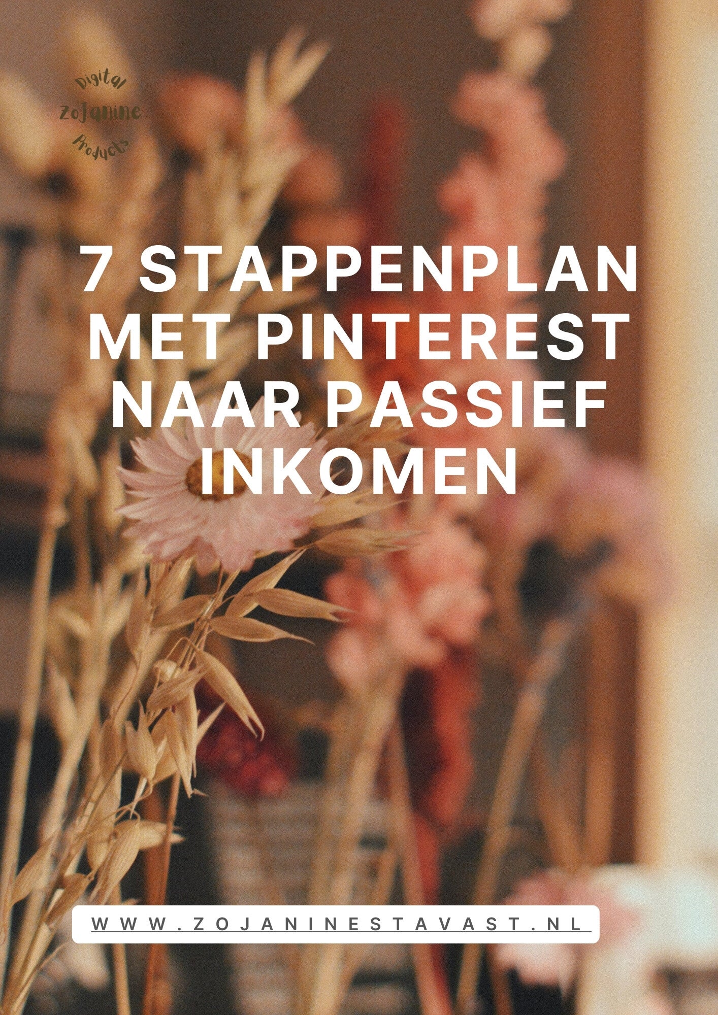 7 Stappenplan: Met Pinterest naar passief inkomen