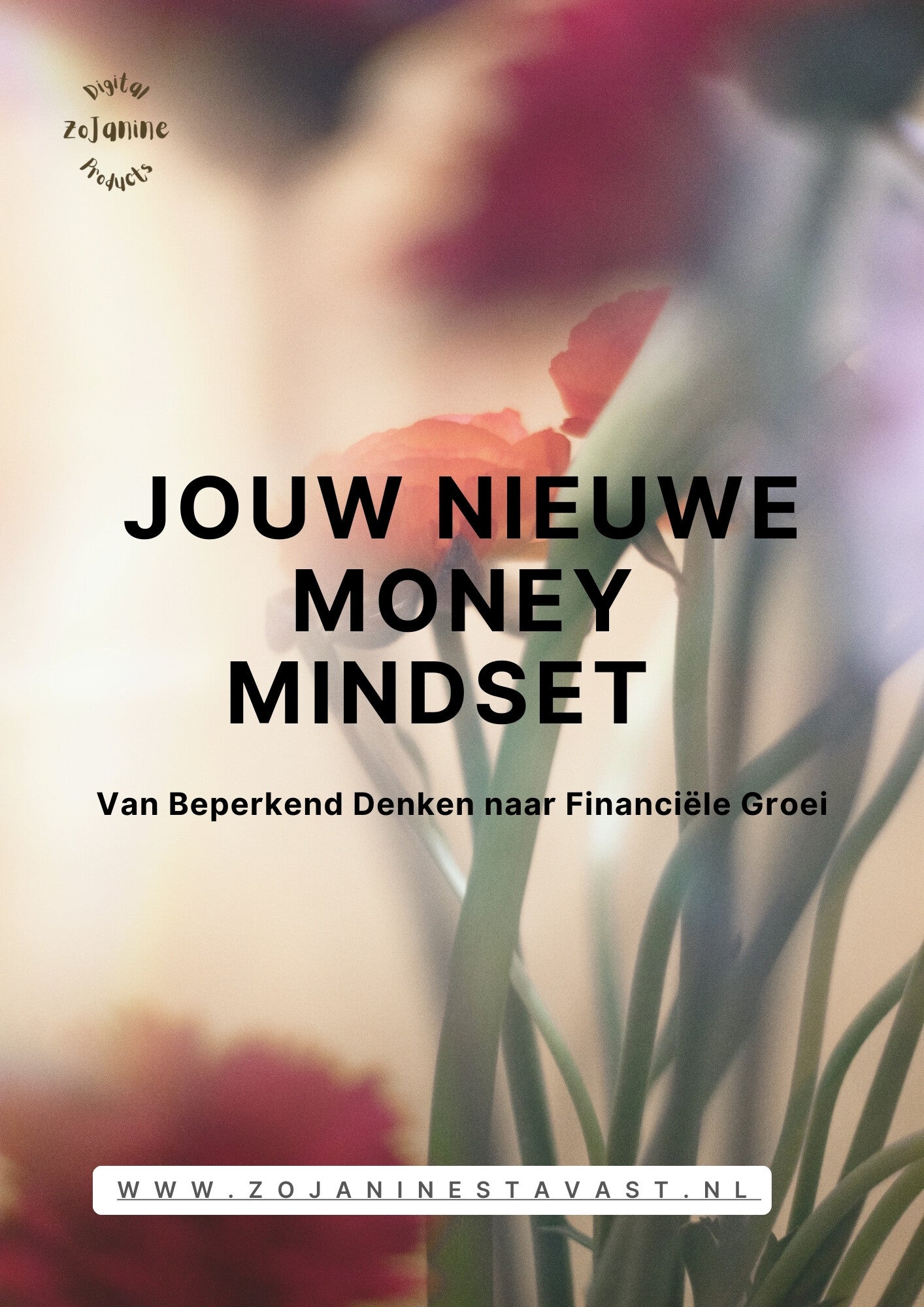 Jouw Nieuwe Money Mindset – Ontgrendel je financiële potentieel