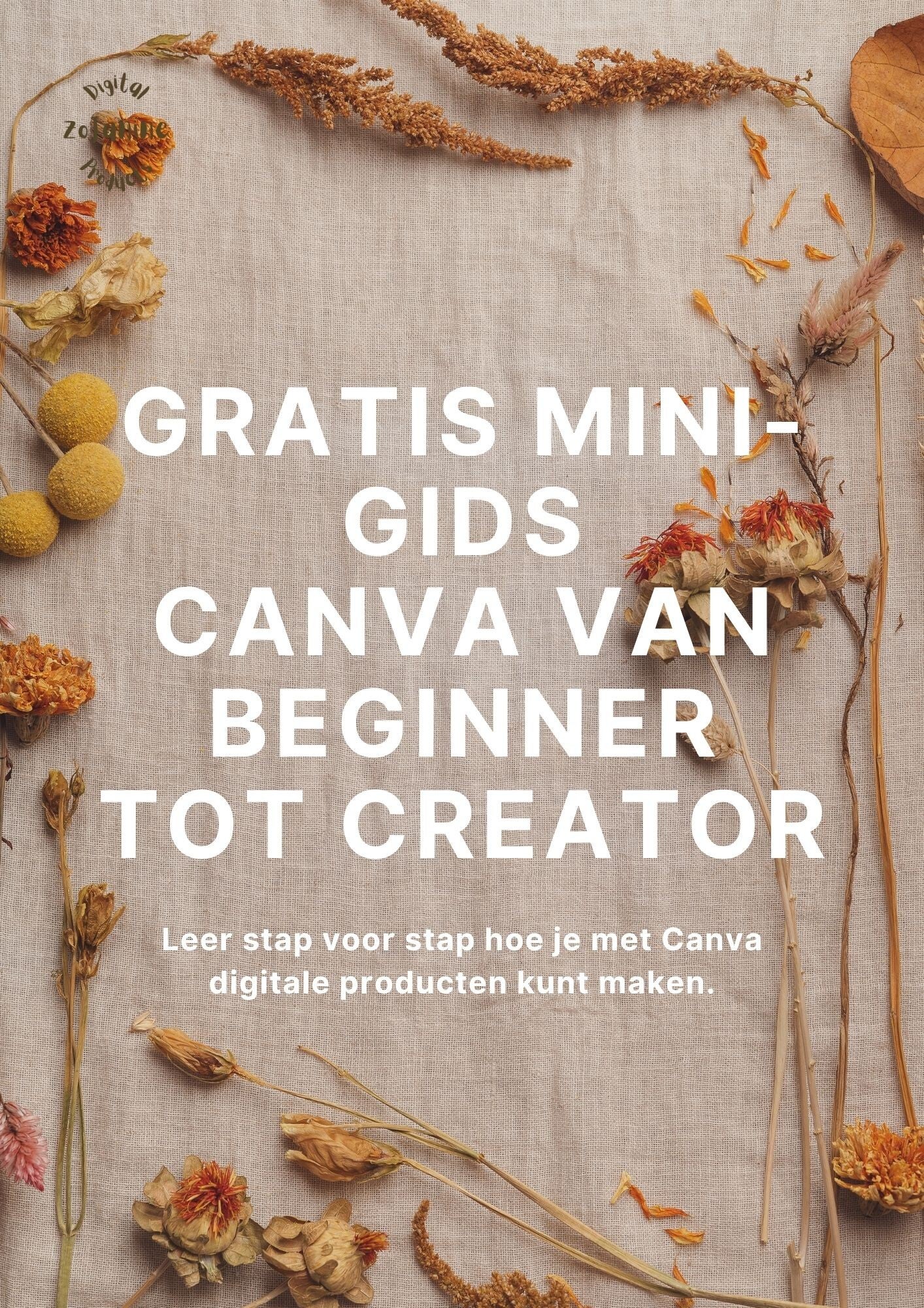 Gratis Mini-gids Canva voor beginners: Ontwerp Makkelijk en Snel