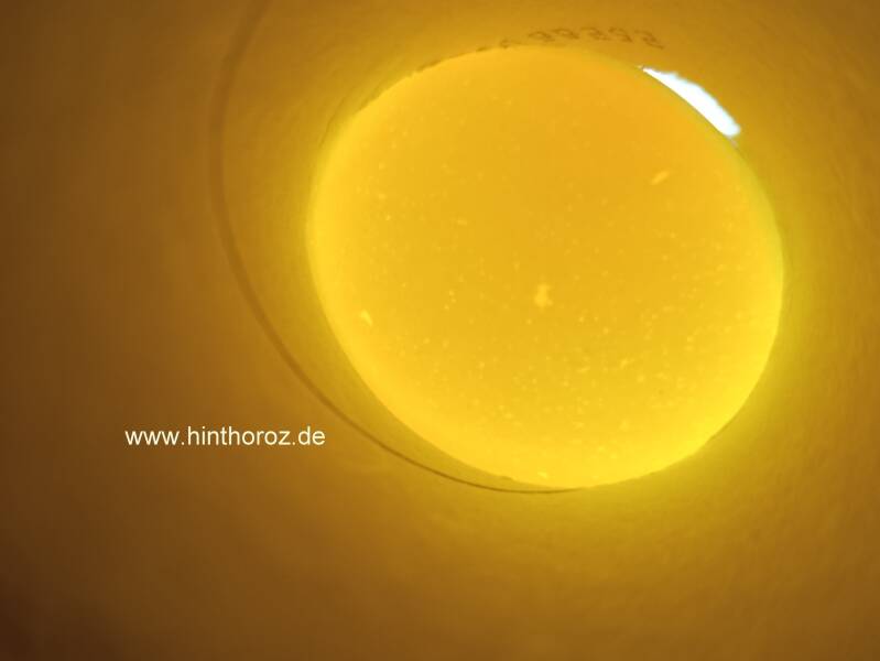 Brutei wird geschiert