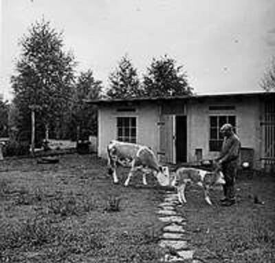 Hammerschlag Tierhaltung