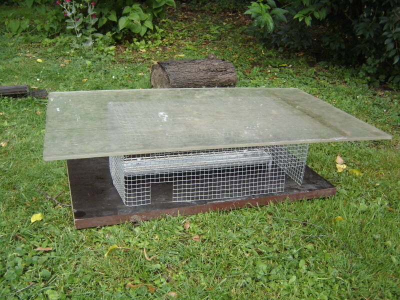 Kükenfutterhaus Freiauslauf Geflügelhaltung