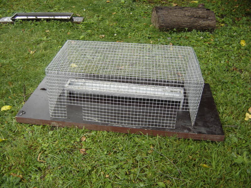 Kükenfutterhaus Freiauslauf