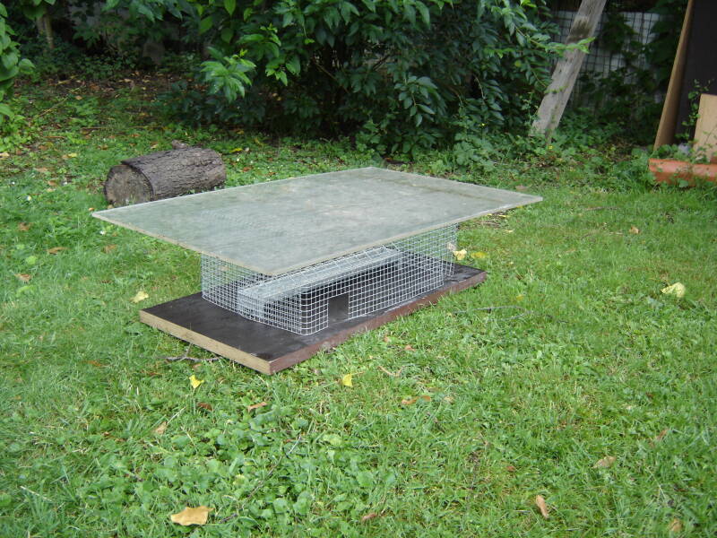 Kükenfutterhaus Freiauslauf Natur