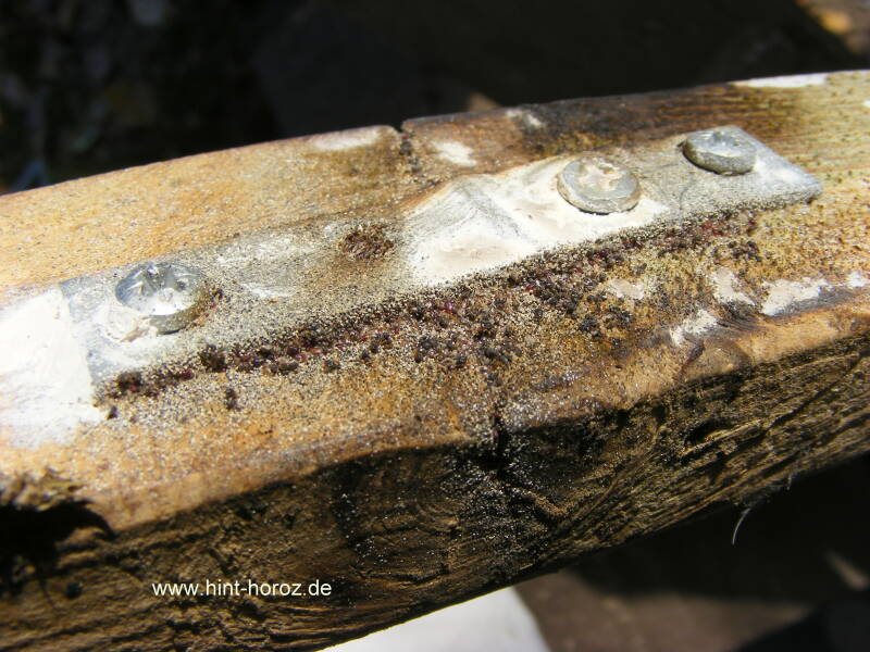 Milbenbefall Sitzstange