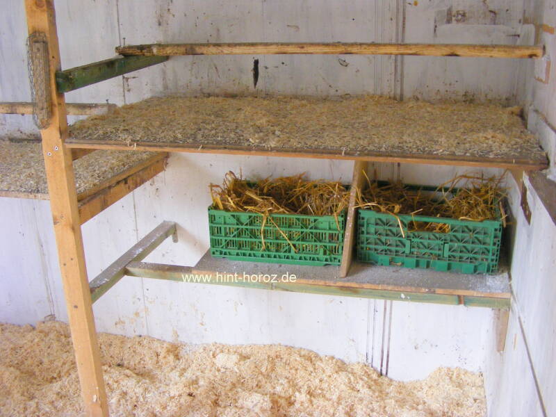 Hühnerstalleinrichtung wieder eingebaut