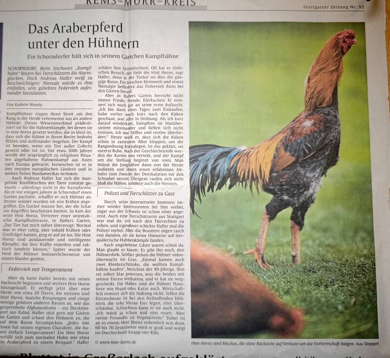 Zeitungsartikel_andihaller