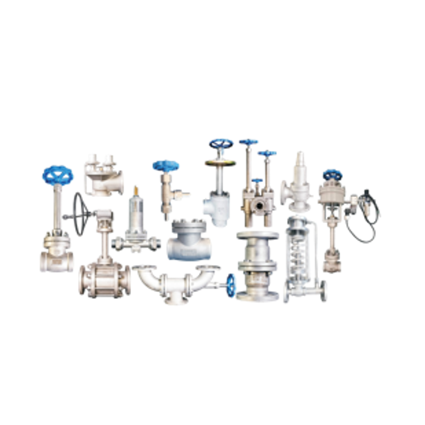 Cryogenic valve