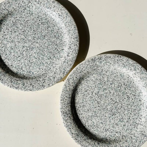 Set of Two Speckled Plates
