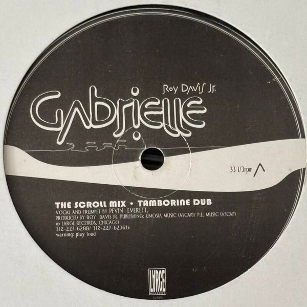 Roy Davis Jr - Gabrielle (Large 1996)