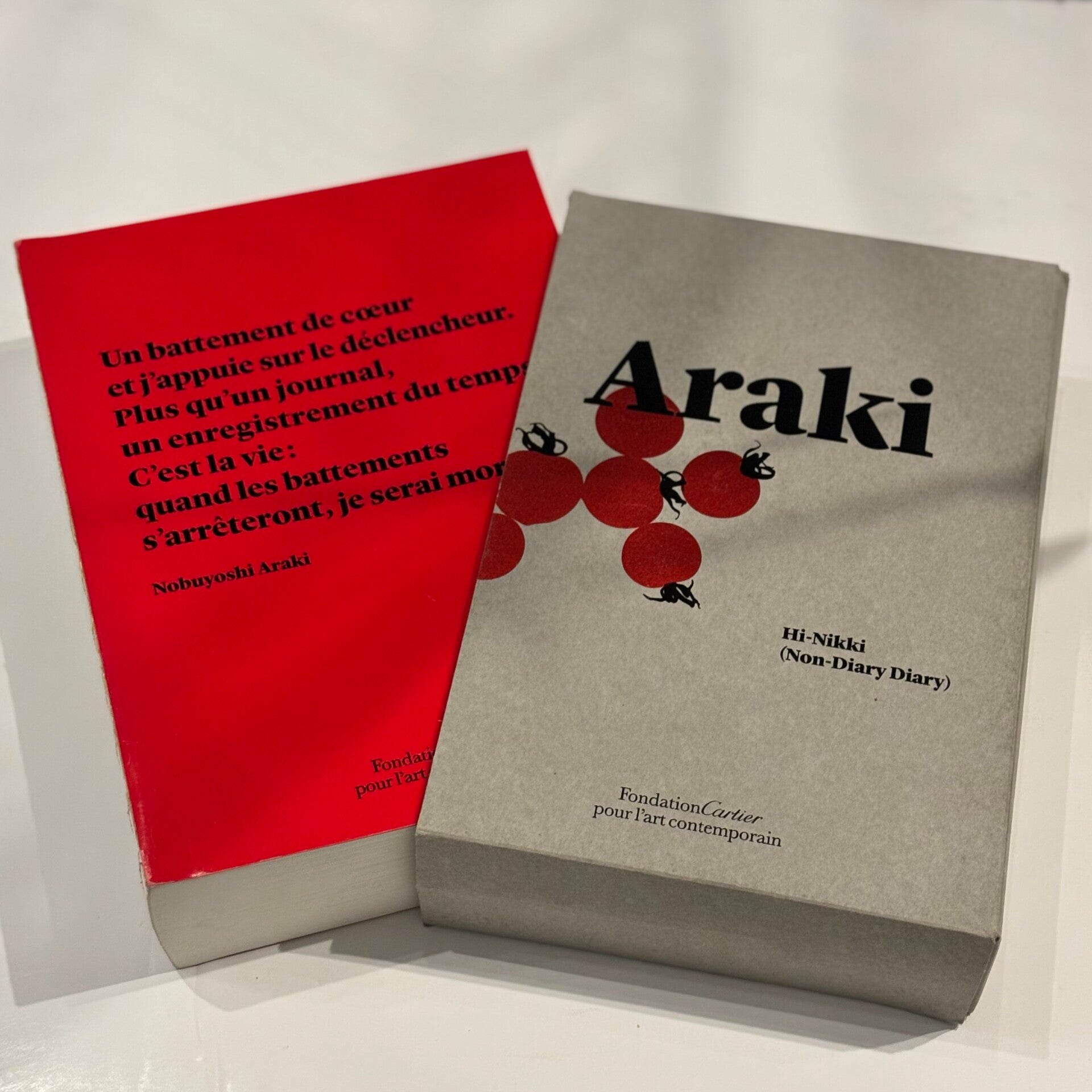 Nobuyoshi Araki - Hi-Nikki (Fondation Cartier 2016)