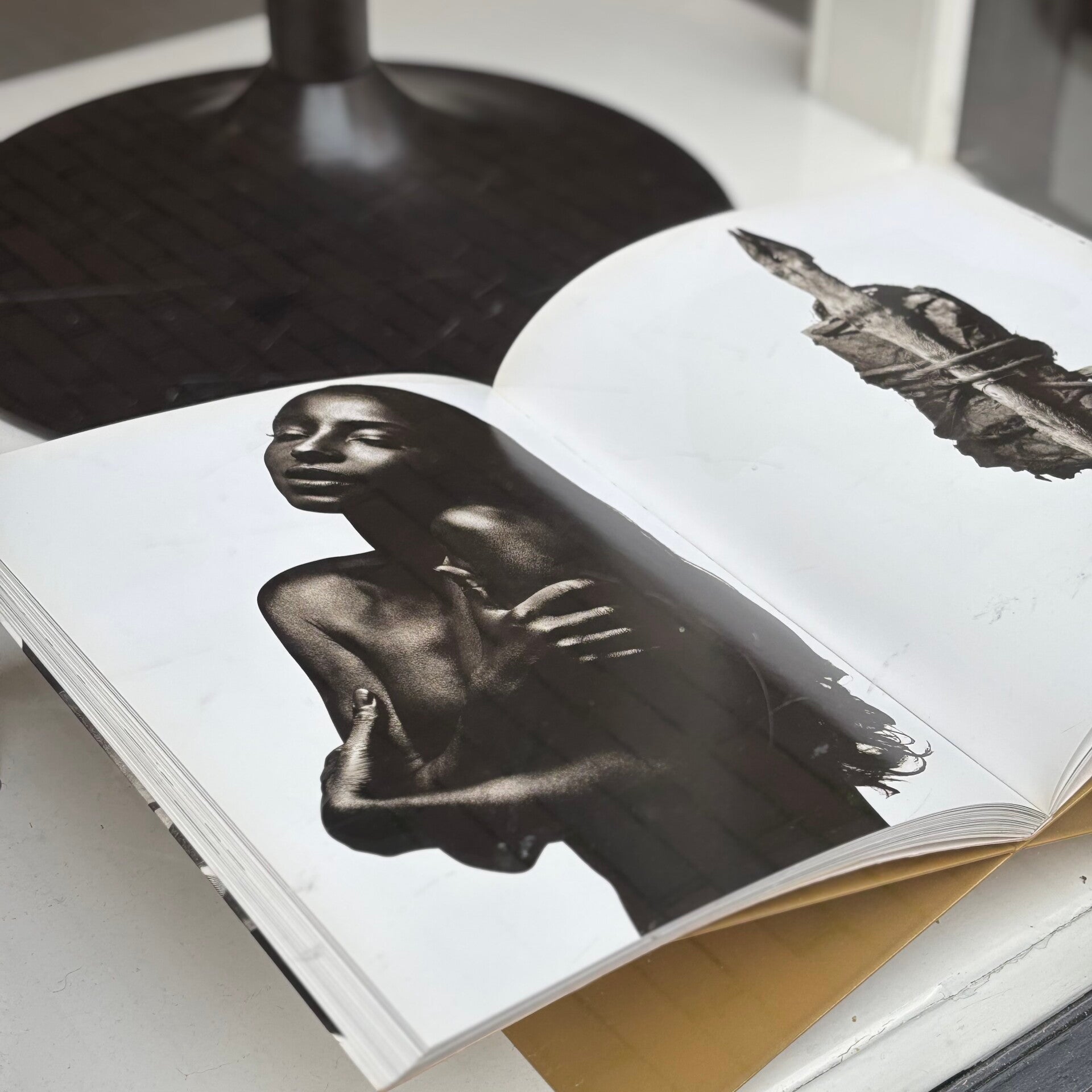 Albert Watson - Mad Dog (Schirmer Mosel 1996)