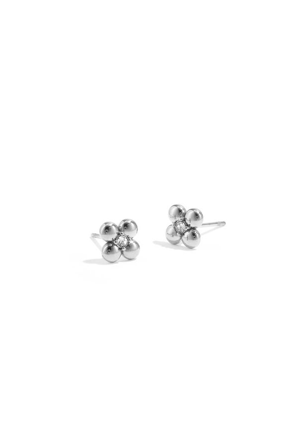 Zomer 26: Studs klaver