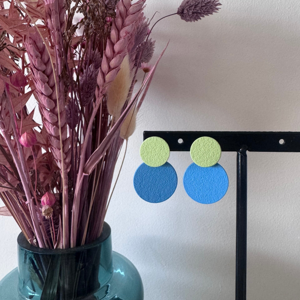 Lente: Schijf