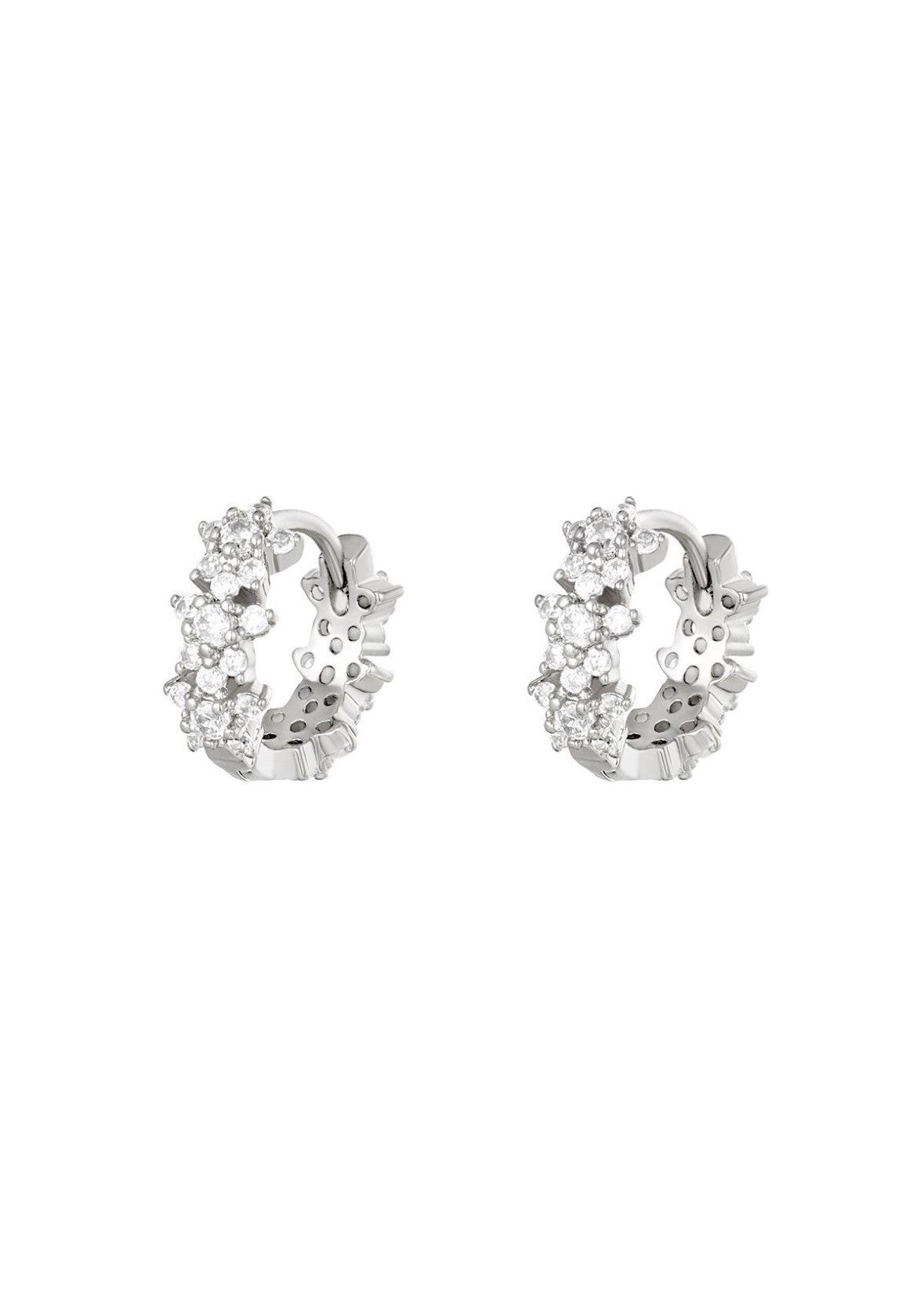 Winter-oorbellen: Ster strass