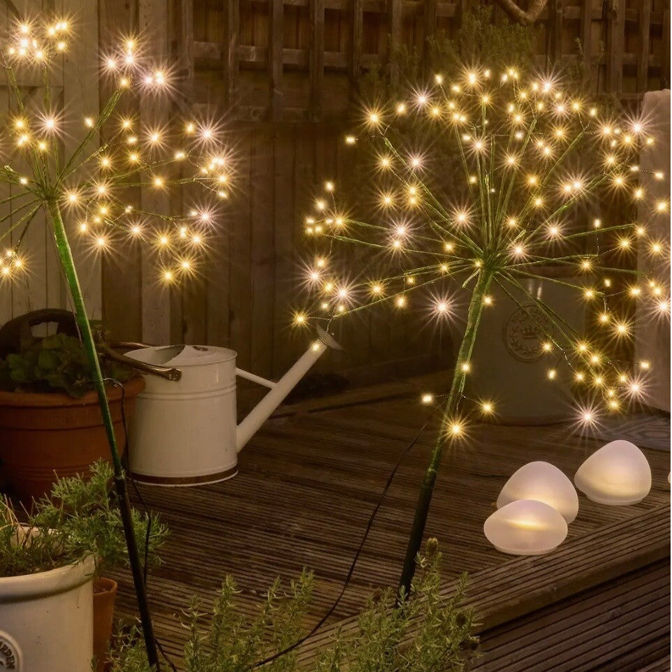 Garden Dandelion