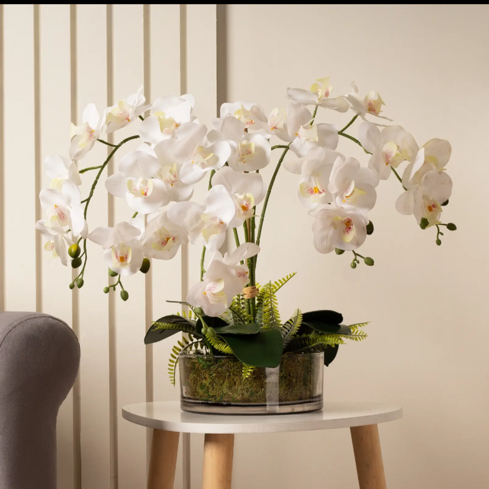 Orchid with Fern in Glass Pot