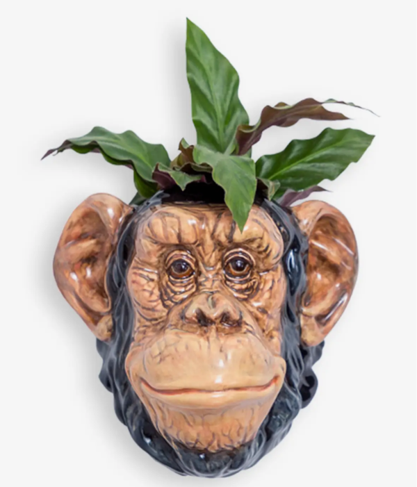 Ceramic chimp wall sconce