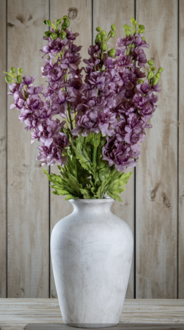 Purple Elatum Delphinium