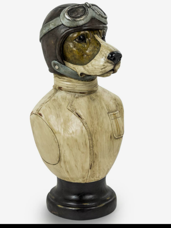 Racing Driver  Dog Bust