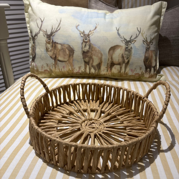 Large loop handle tray - small