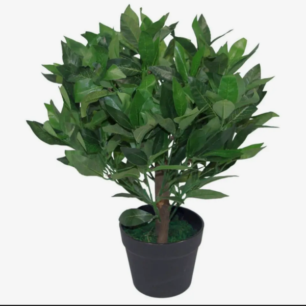 50cm Dwarf Artificial Bay Tree Laurel Topiary Bush