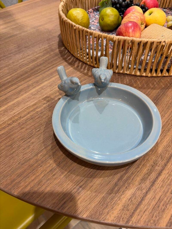 Blue bird small bird bath