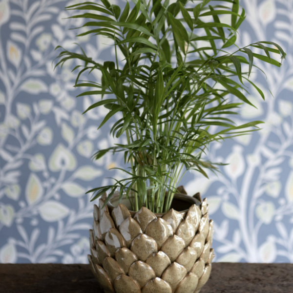 Olive Petal Pot