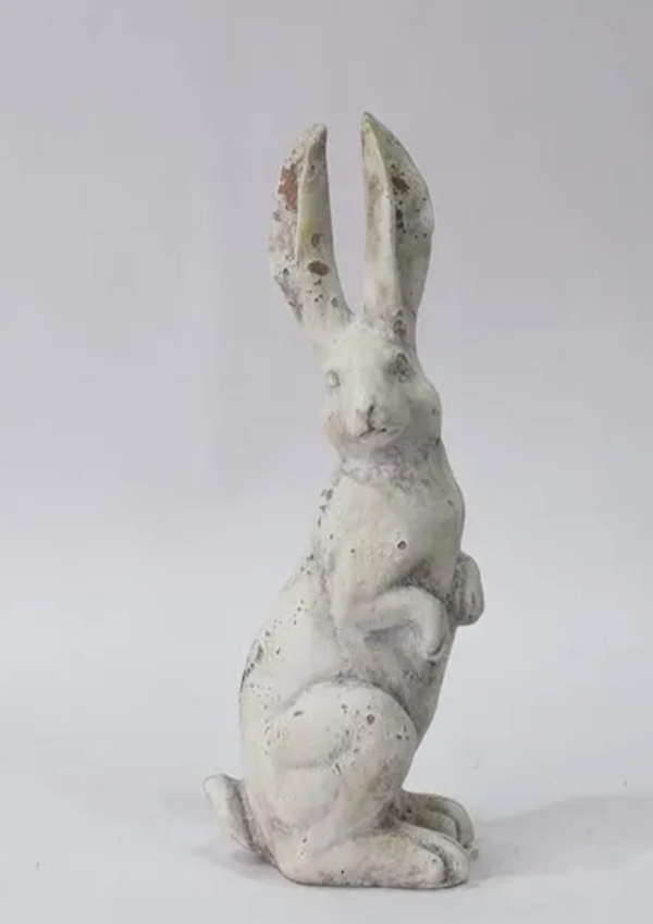 Garden Rabbit