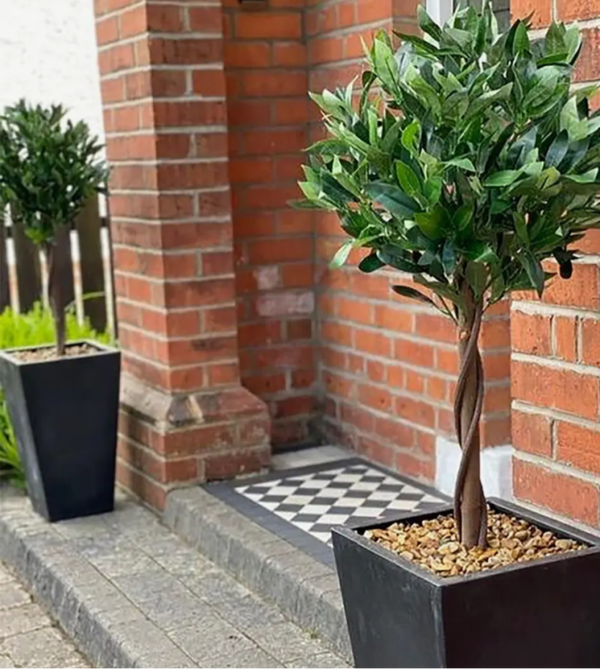 Pair of Twisted Stem Artificial Topiary Bay Laurel Ball Trees
